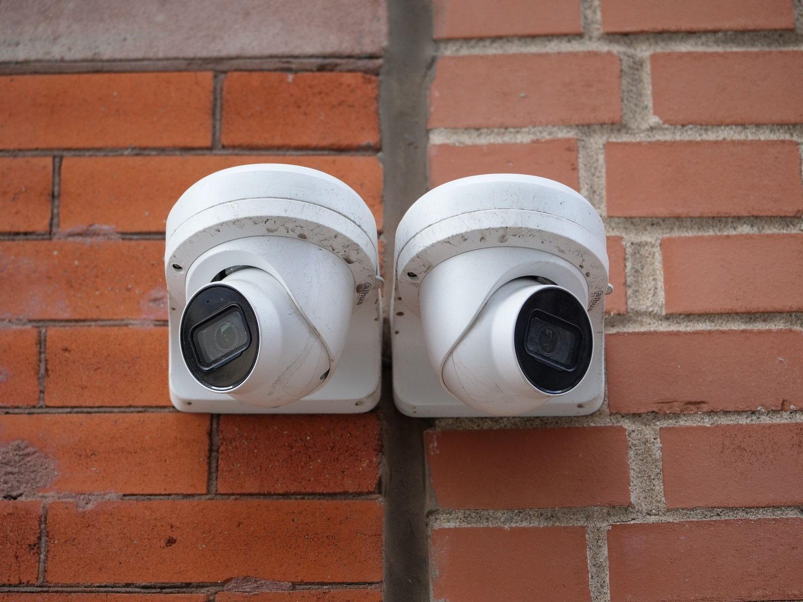 free ai video detector online without login